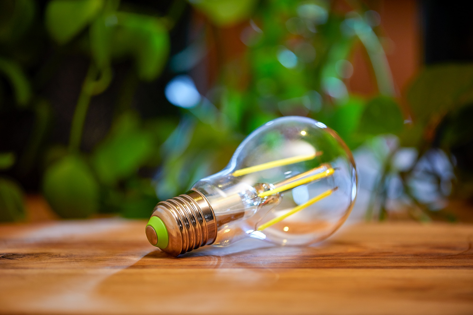 Gronden ondanks Zenuw De meest energiezuinige Philips LED A-klasse lampen | Signify  Bedrijfswebsite
