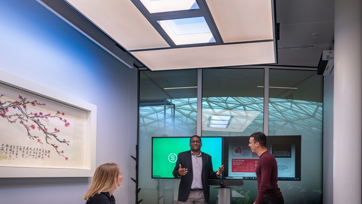 Nature connect studies