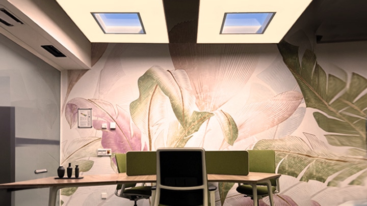 NatureConnect - Relax