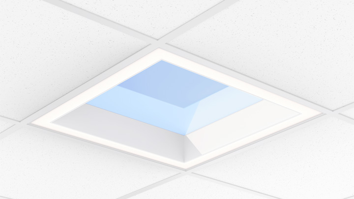 NatureConnect skylights