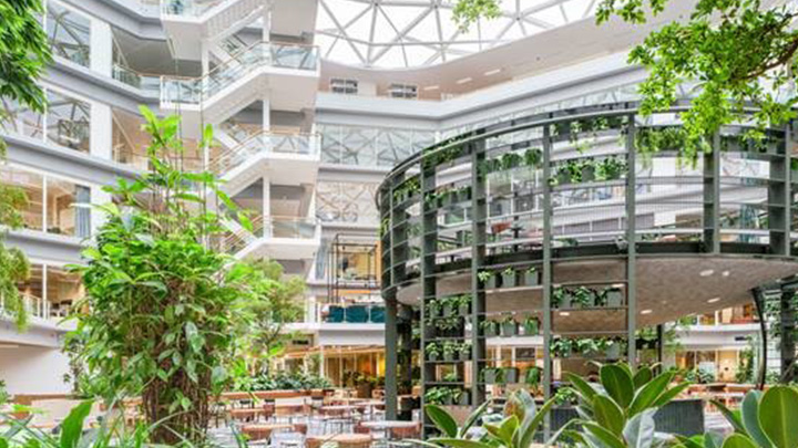 Decarbonize buildings and enhance workplaces