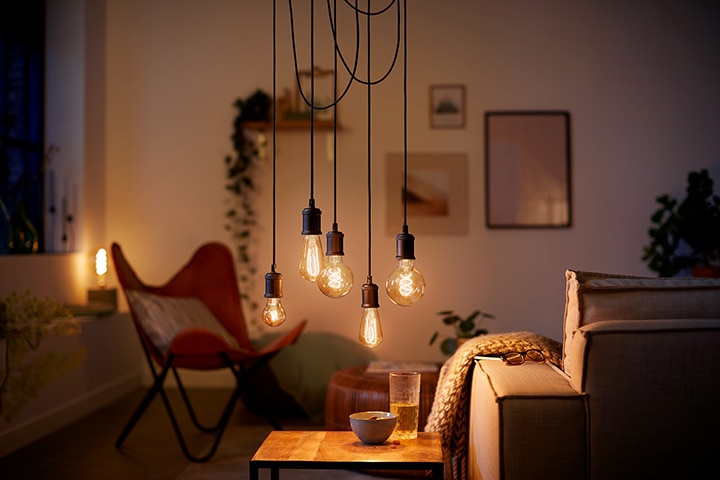 Broderskab ramme landmænd LED bulbs with the look of vintage incandescent | Signify Company Website