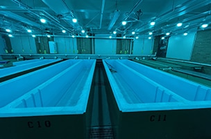 Aquaculture Facilities